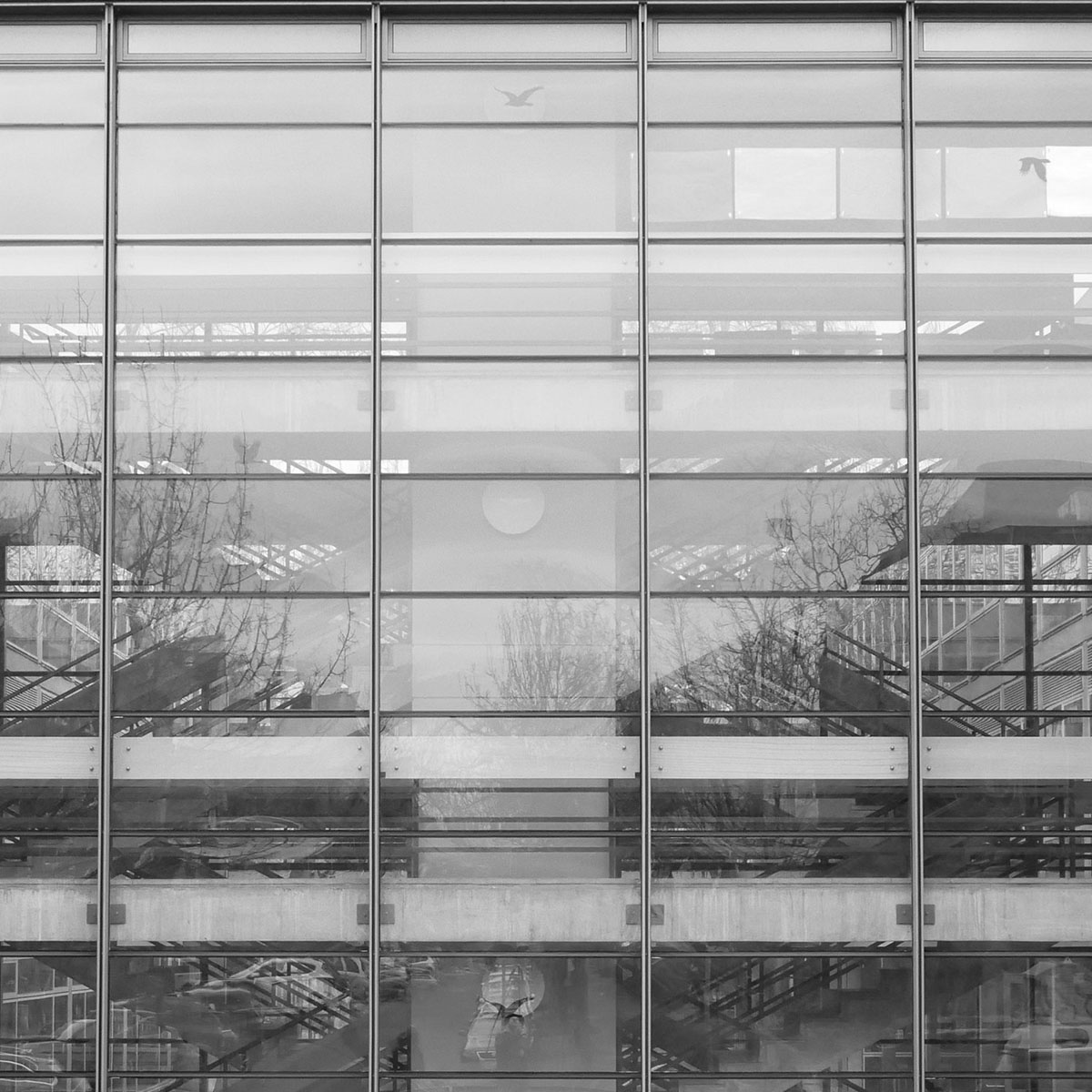 Film Rolandschule Düsseldorf | Prof. Dr. Ina Scheffler
